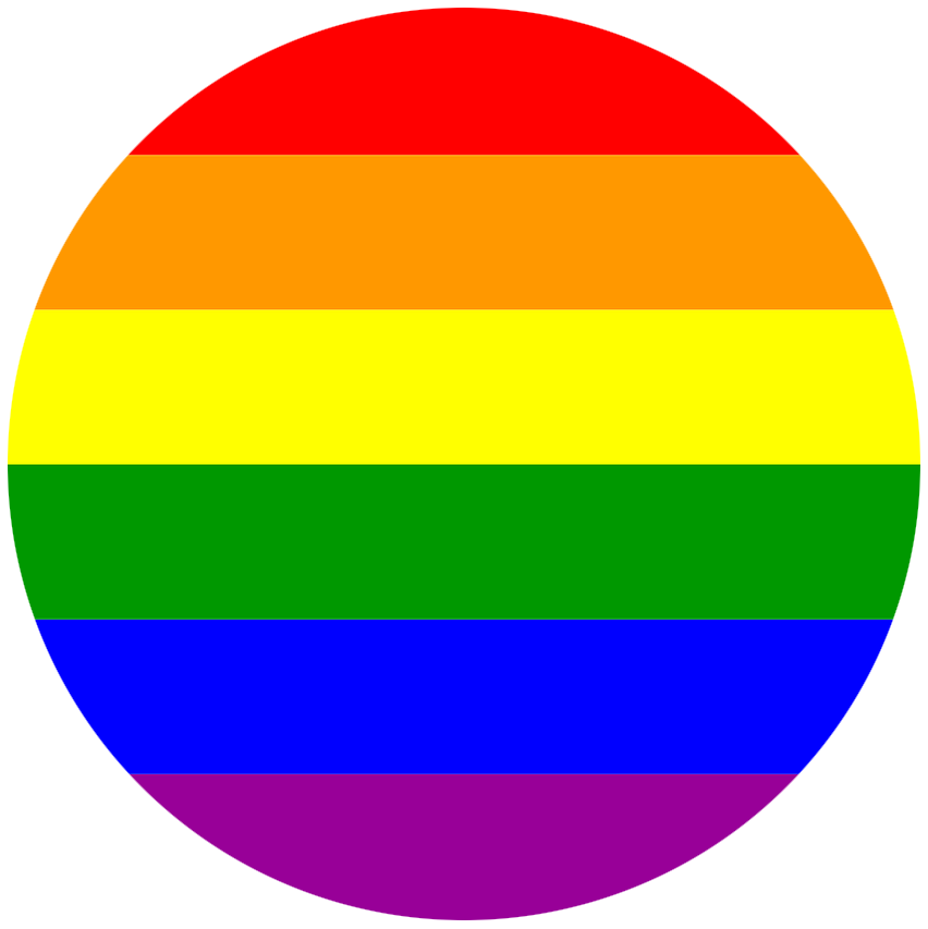 LGBTQ2S+ ally rainbow icon for safe space accessible healthcare