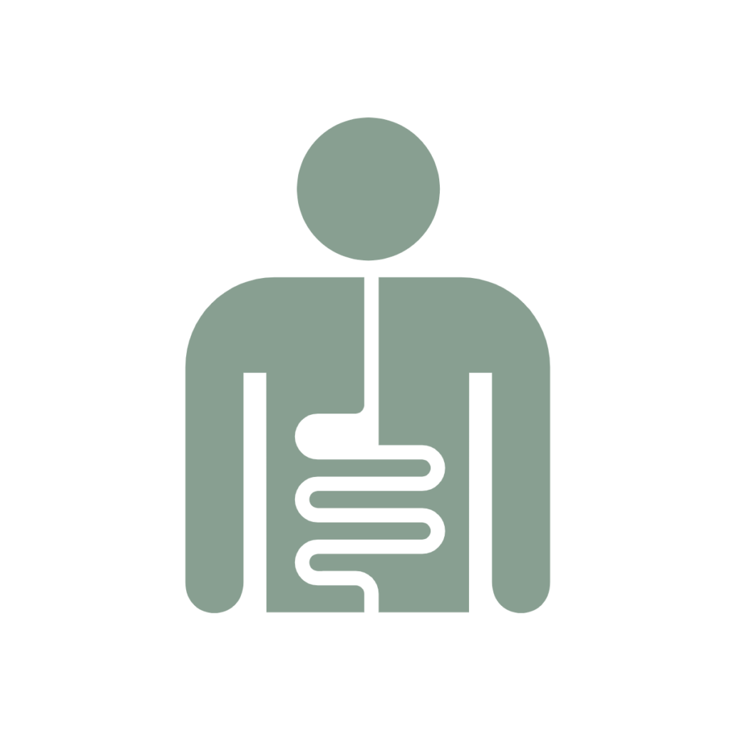 gut support icon digestion