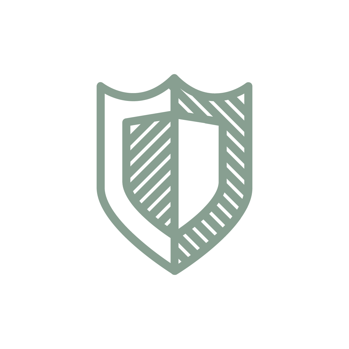 defence shield icon